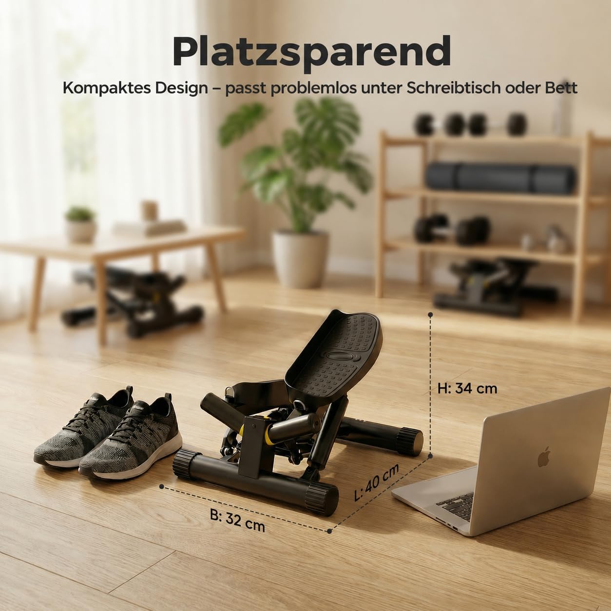 Twist Stepper mit Power Ropes