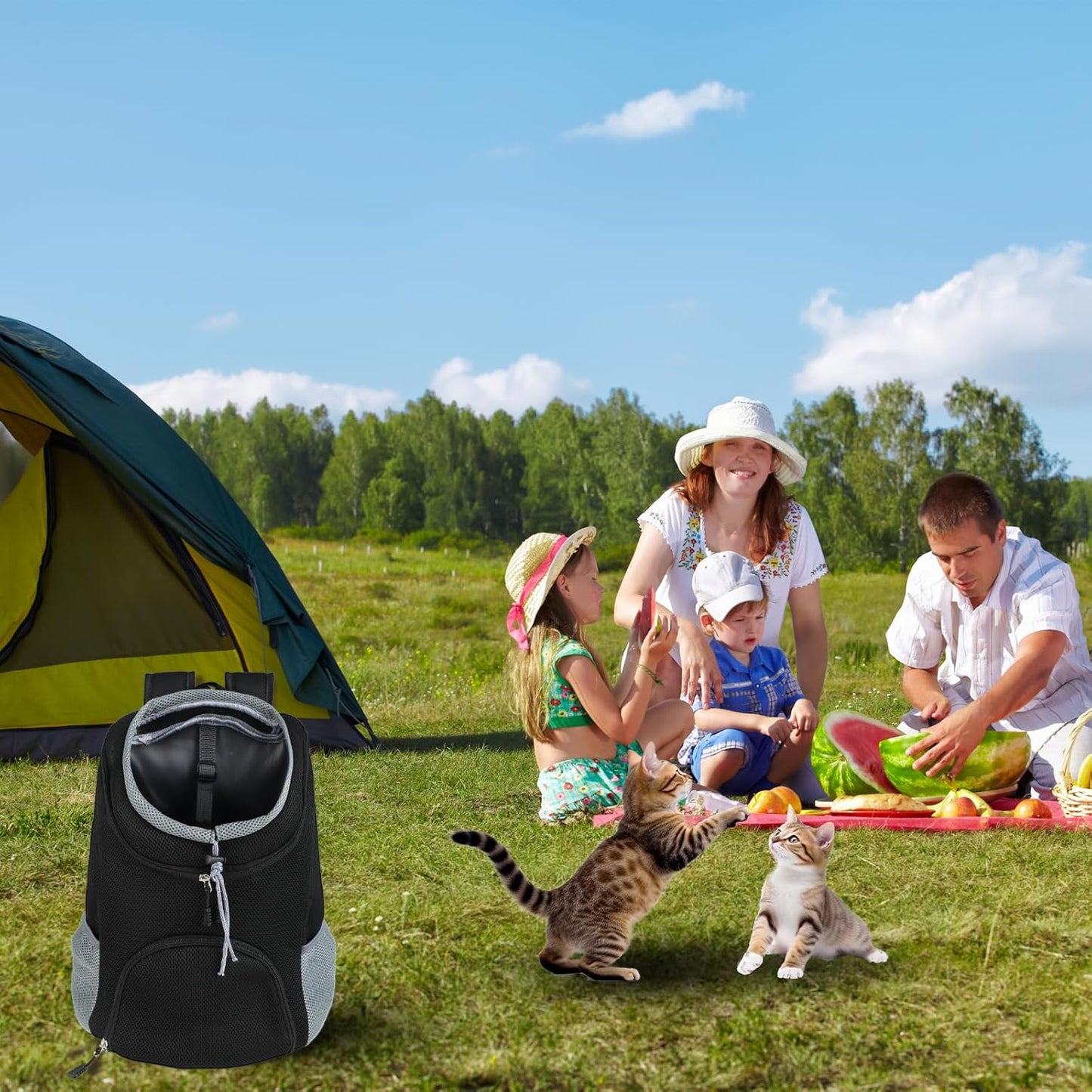 Haustier Rucksack