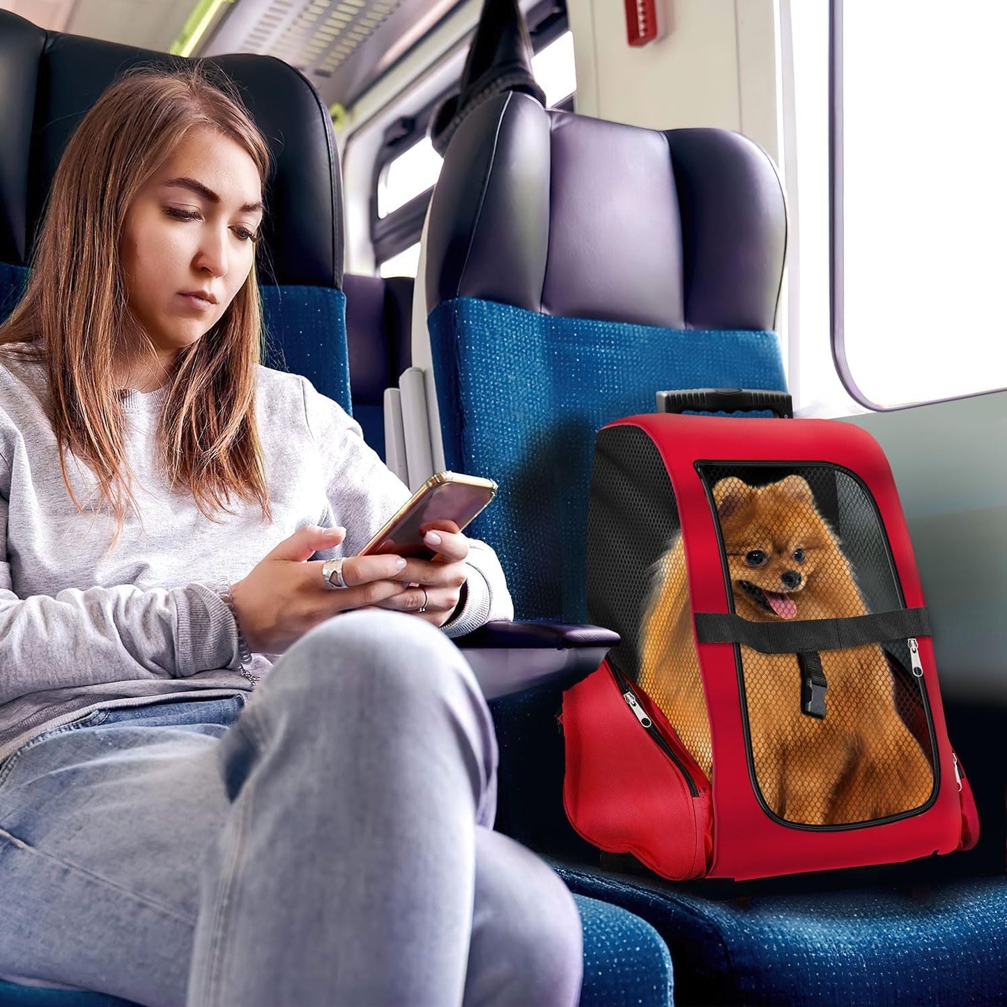 Haustier-Trolley für Hunde und Katzen, Hundetrolley Rot