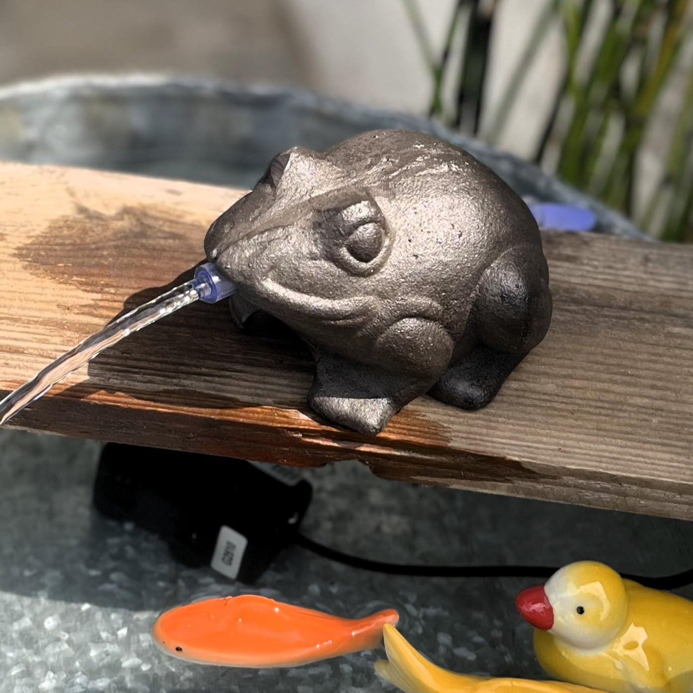 Wasserspeier-Frosch mit Aussenpumpe
