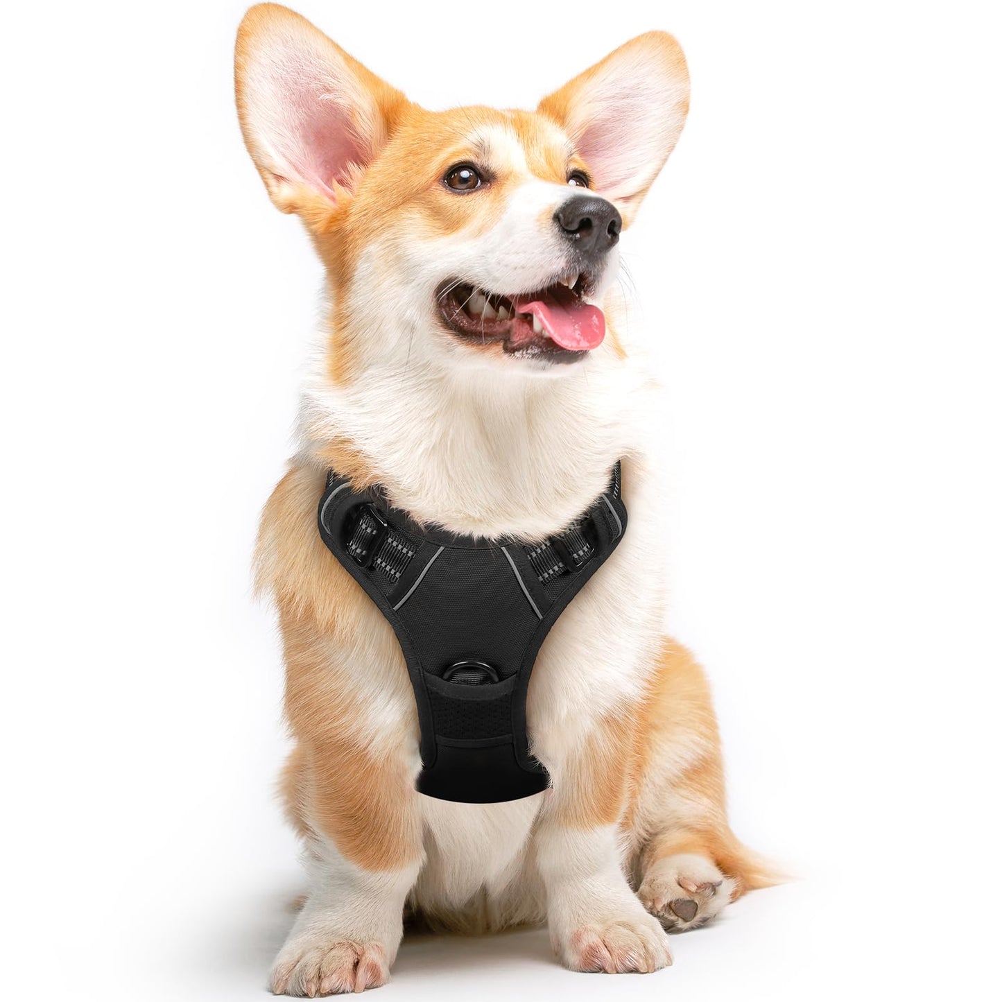 Anti-Zug Hundegeschirr, M (1er Pack) Schwarz