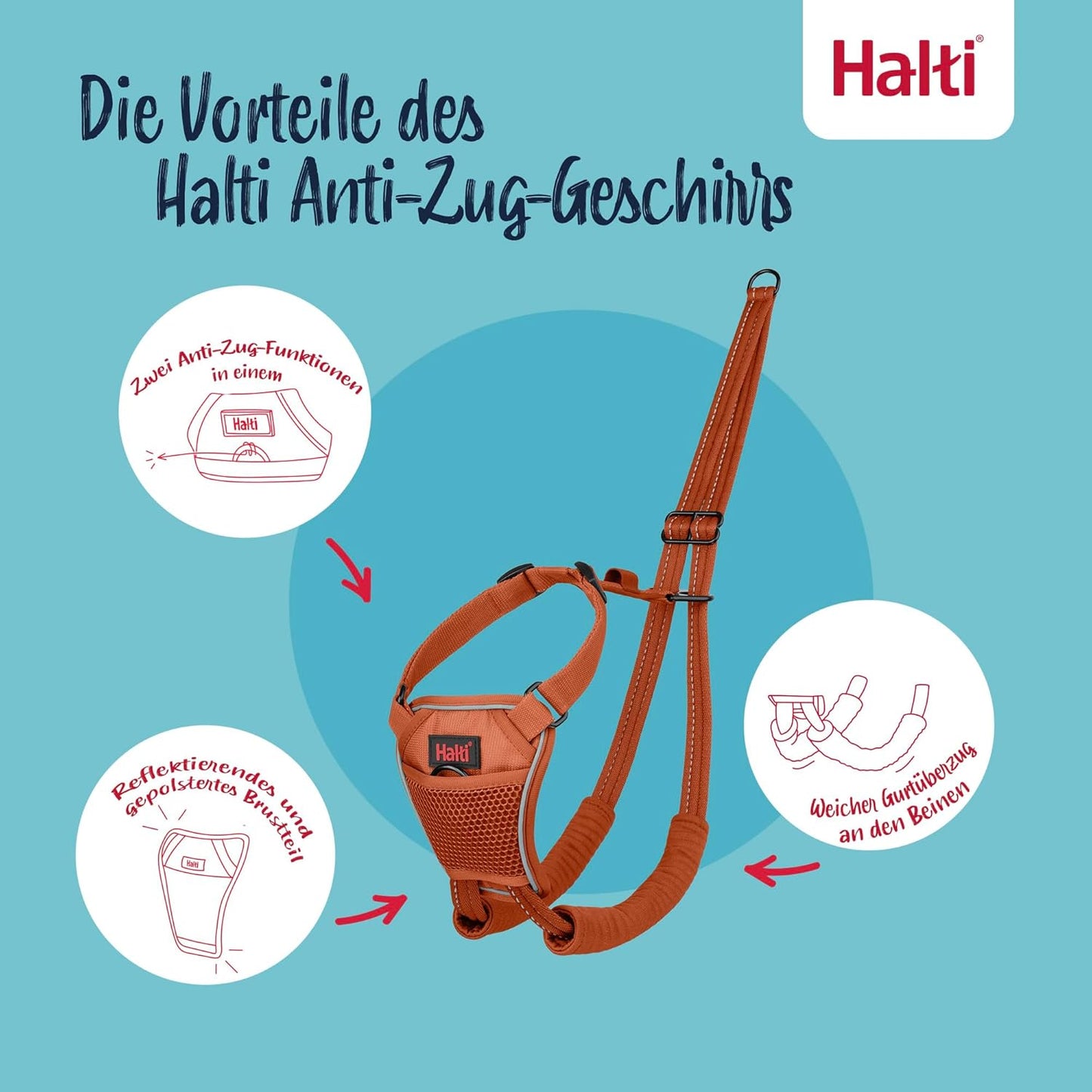 Anti-Zug Hundegeschirr, Dunkelorange / XS