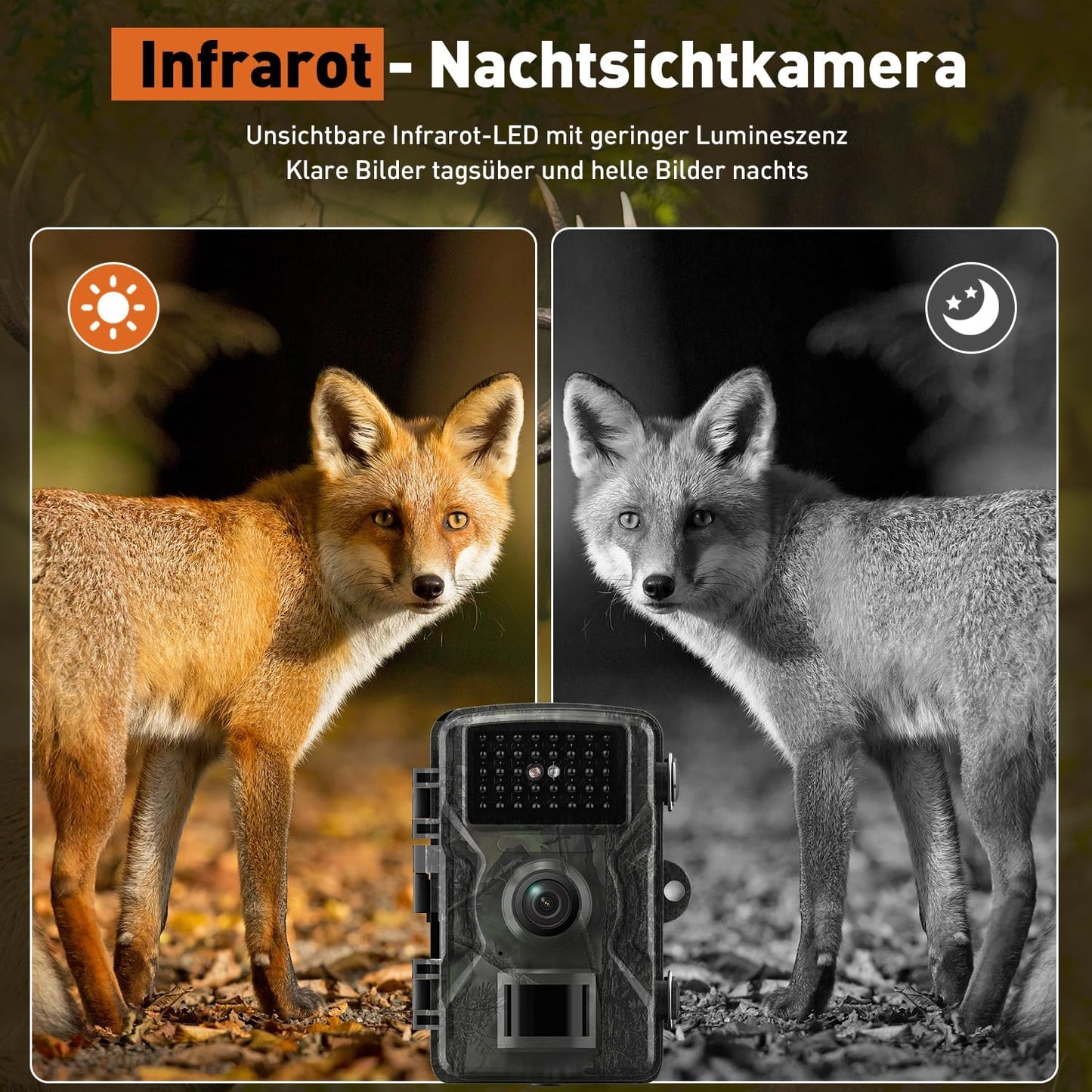 Wildtierkamera mit Nachtsicht und Infrarot, Armeegrün