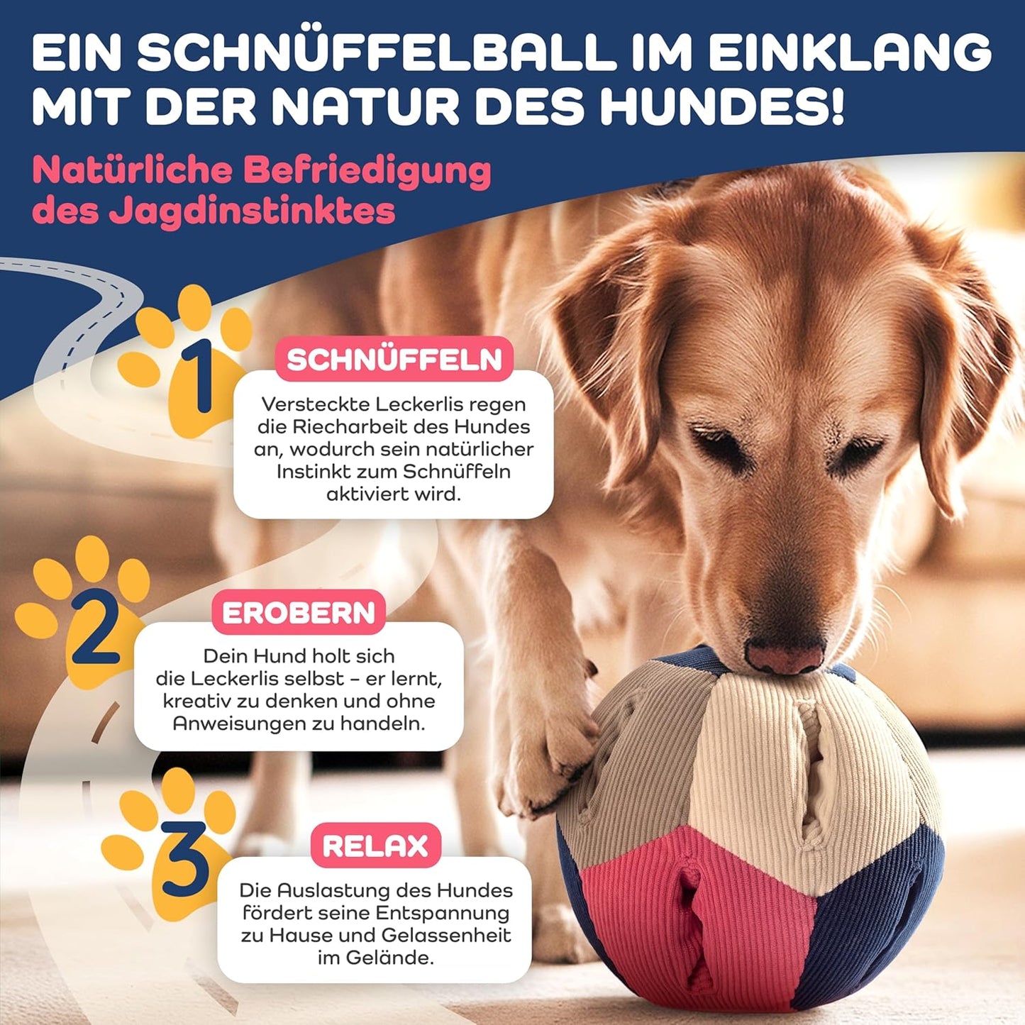 Intelligenz-Schnüffelball mit 4 Schwierigkeitsstufen