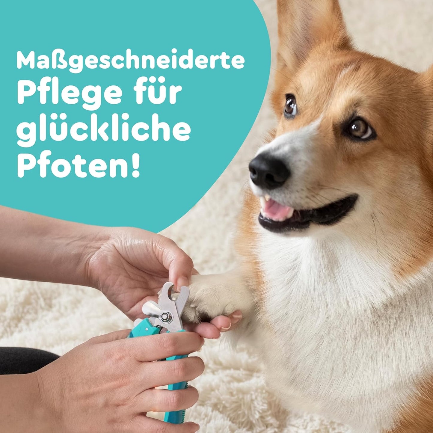 Krallenschere mit Stopper und Feile, L