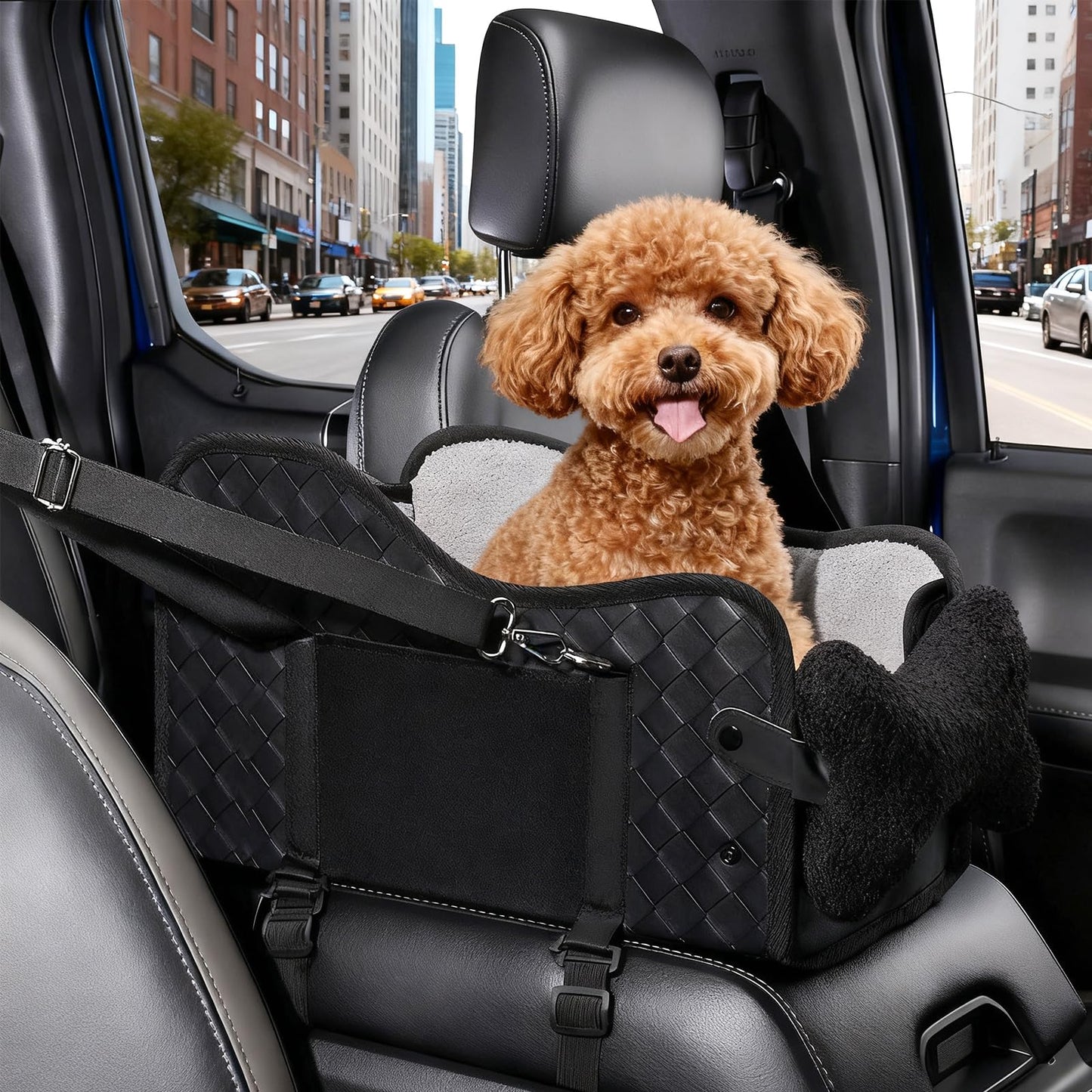 Hundeautositz für Mittelkonsole mit Sicherheitsgurt, A