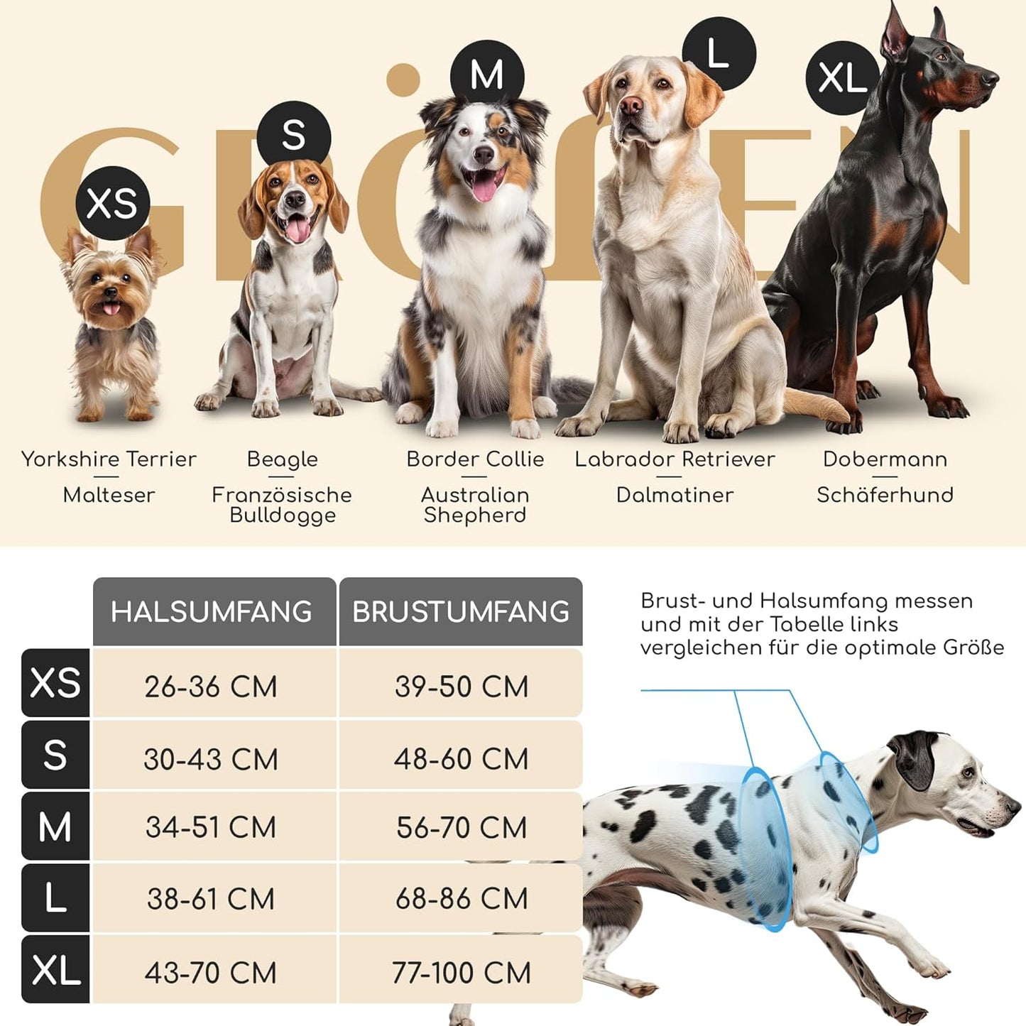 Clyde Hundegeschirr, S