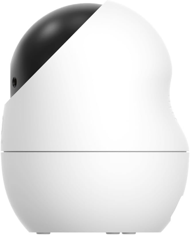 BV-D210 (2WL) Innenkamera mit 360°-Sicht und Bewegungserkennung, 1080P