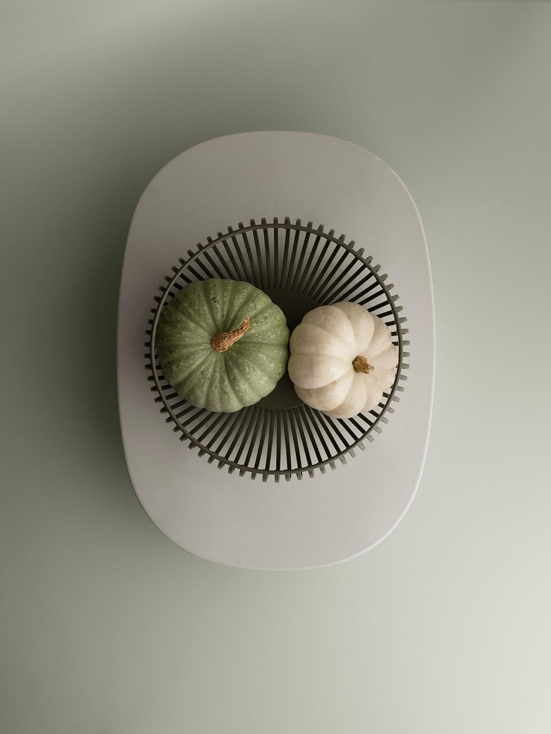 Lito Schale, Agave Green M