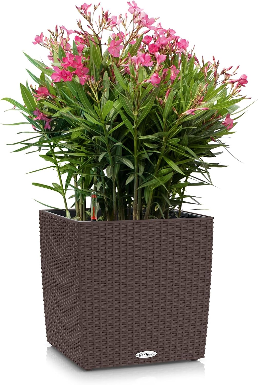 Cube Cottage Pflanzgefäss, Pflanzgefäss mit Erd-Bewässerungs-System 39 x 39 x 40 cm Mokka