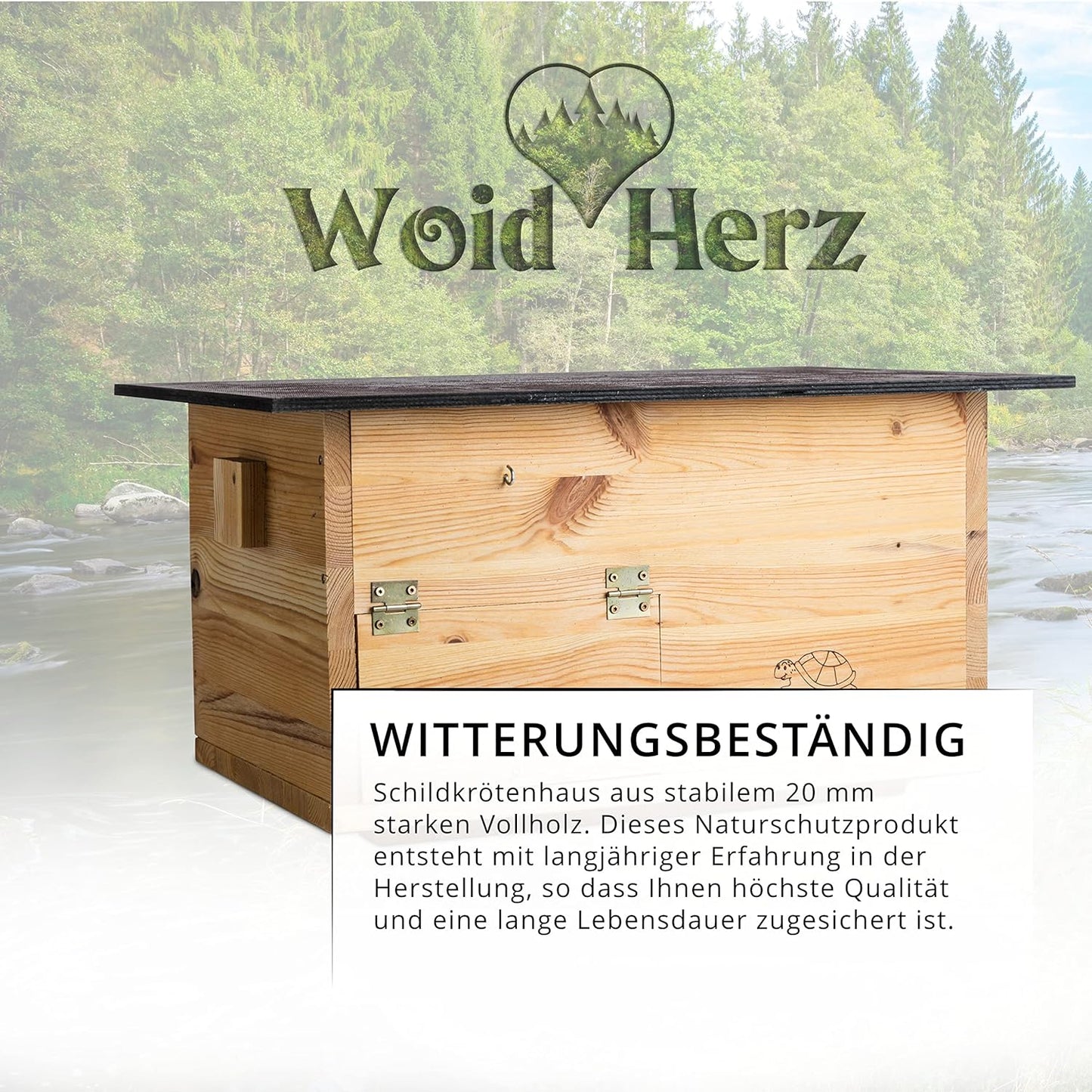 Schildkrötenhaus SH2, Lasiert