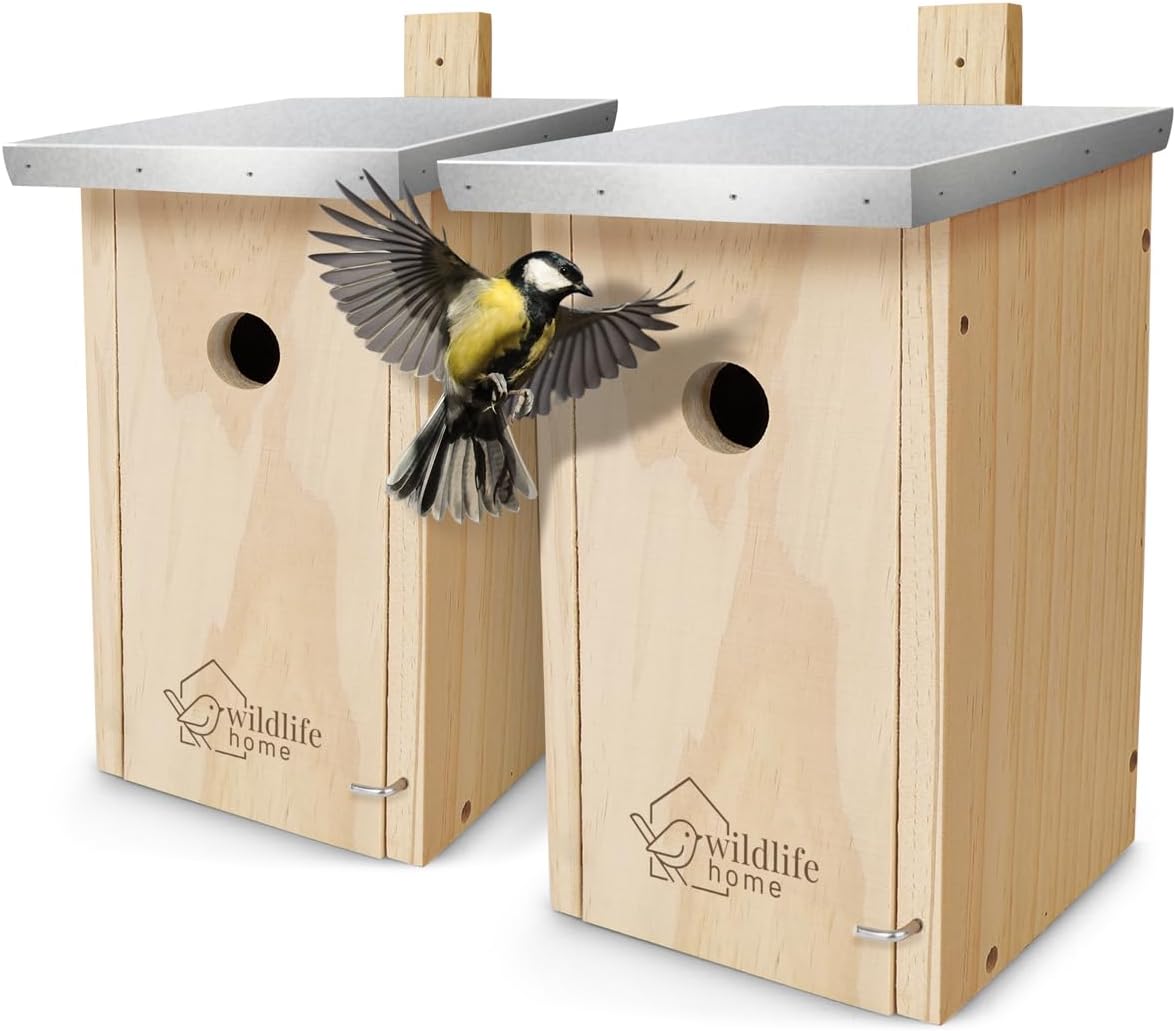 Nistkasten-Set für Meisen (2 Stück), 2 x Nistkasten für Kohlmeisen & Co.