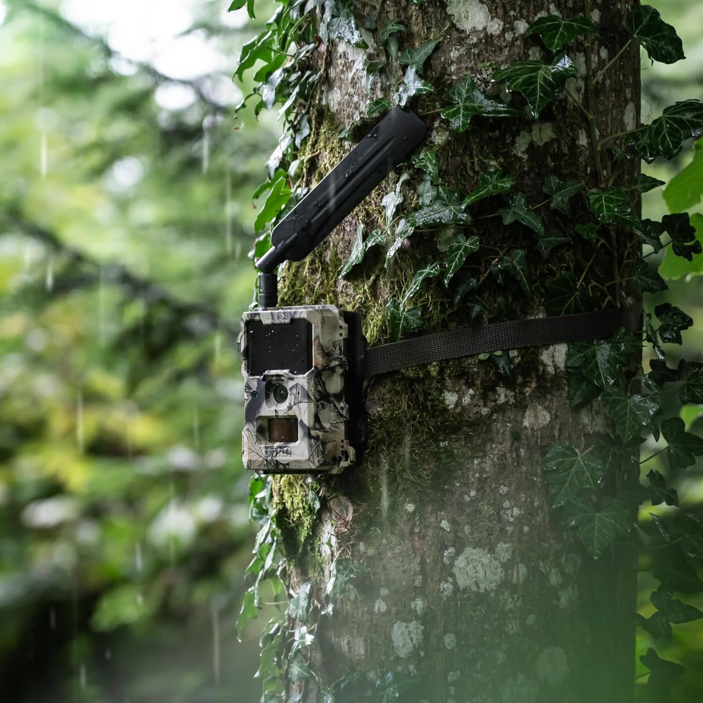 Mini 4G/LTE Wildkamera mit Bewegungsmelder, Einzeln
