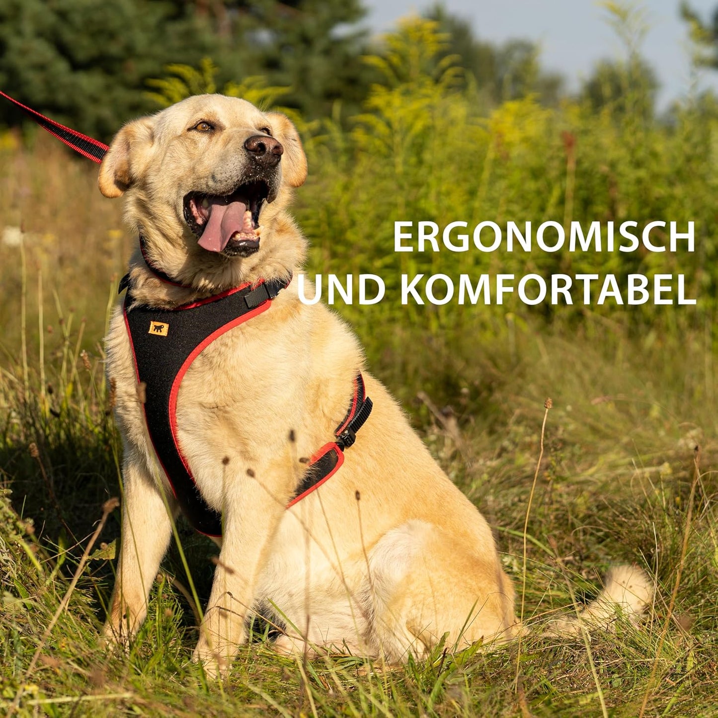 Verstellbares Hundegeschirr, Rot|Halsumfang: 50-60 cm/ Brustumfang: 70-80 cm