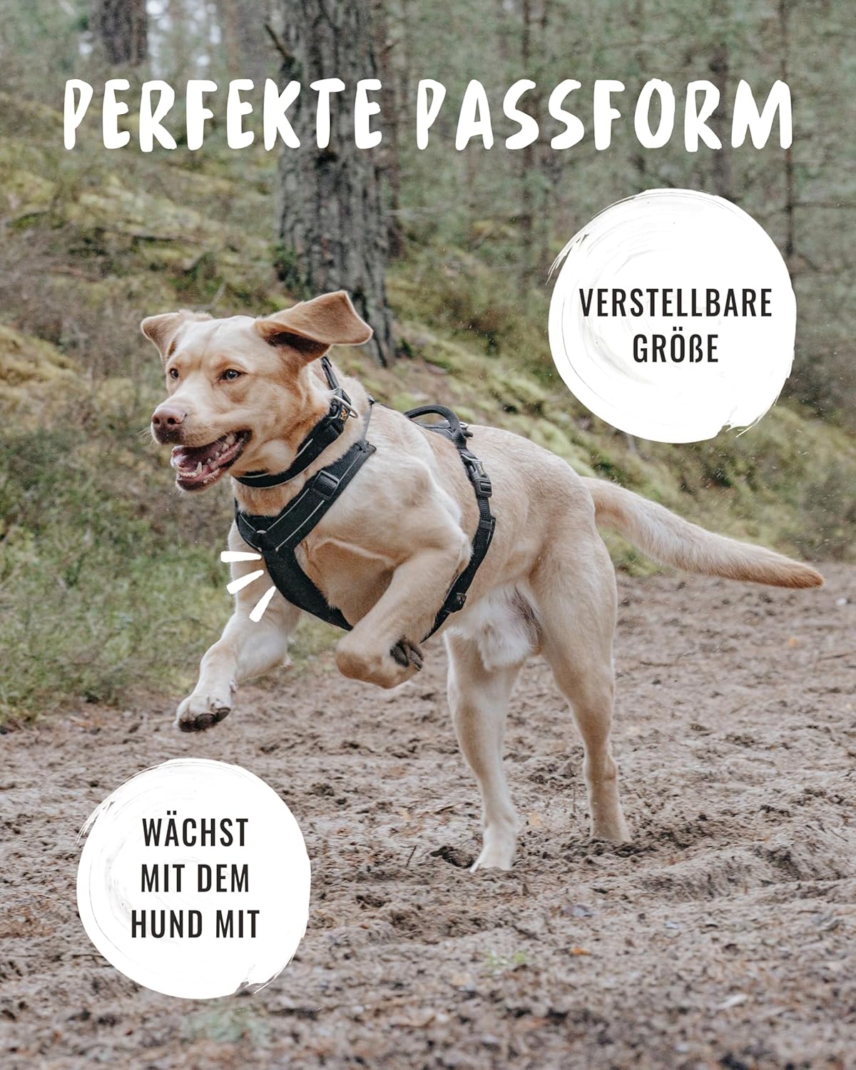 Reflektierendes Y-Hundegeschirr mit Haltegriff, M Schwarz-Reflektierend