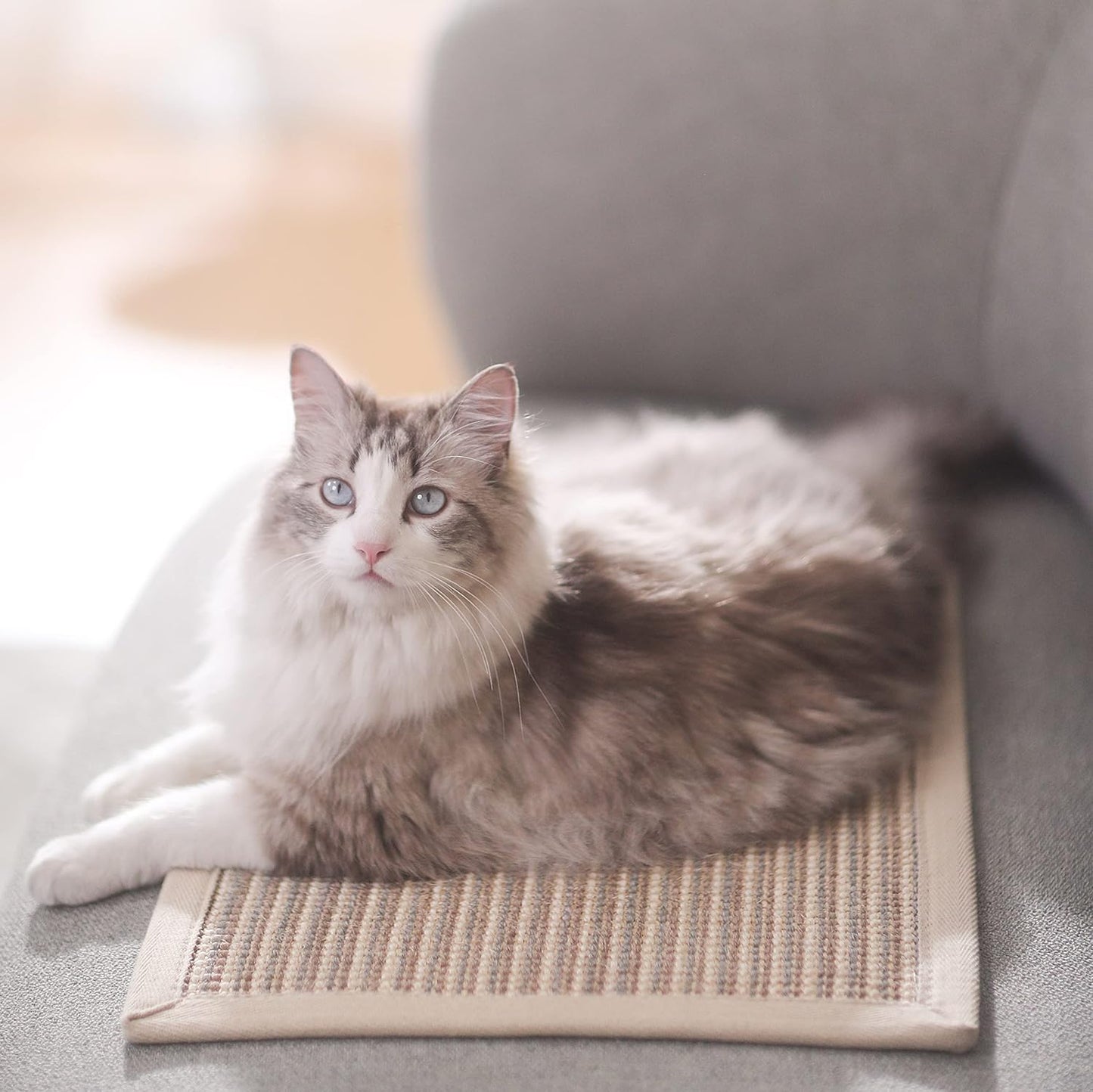 Kratzmatte für Katzen, Creme: 60 x 40 cm (Dickere Version)