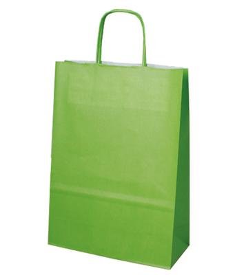 Papiertragetaschen Set mit Kordel, Kiwi