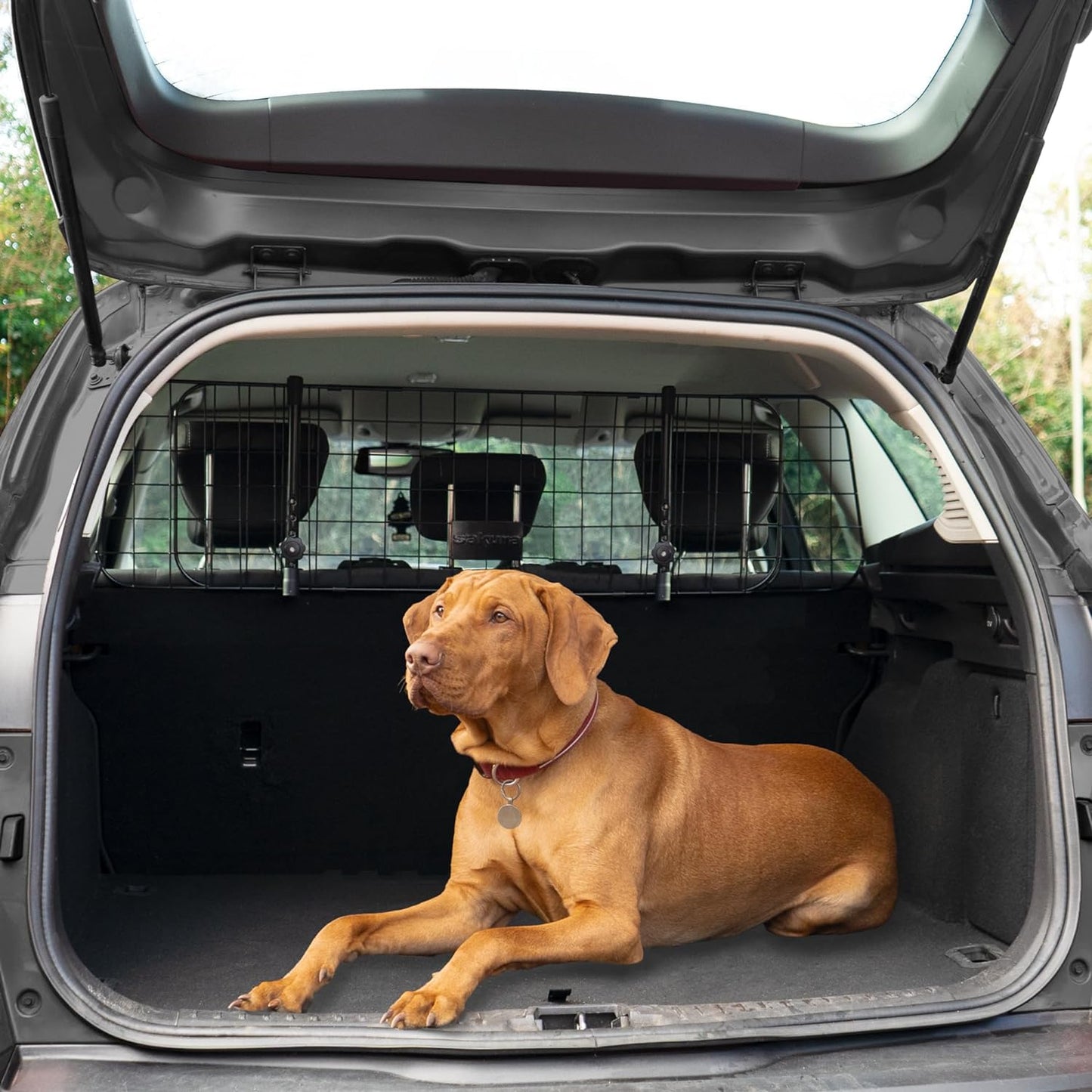 Kopfstützen Hundegitter für PKW, Kopfstützen-Schutzgitter