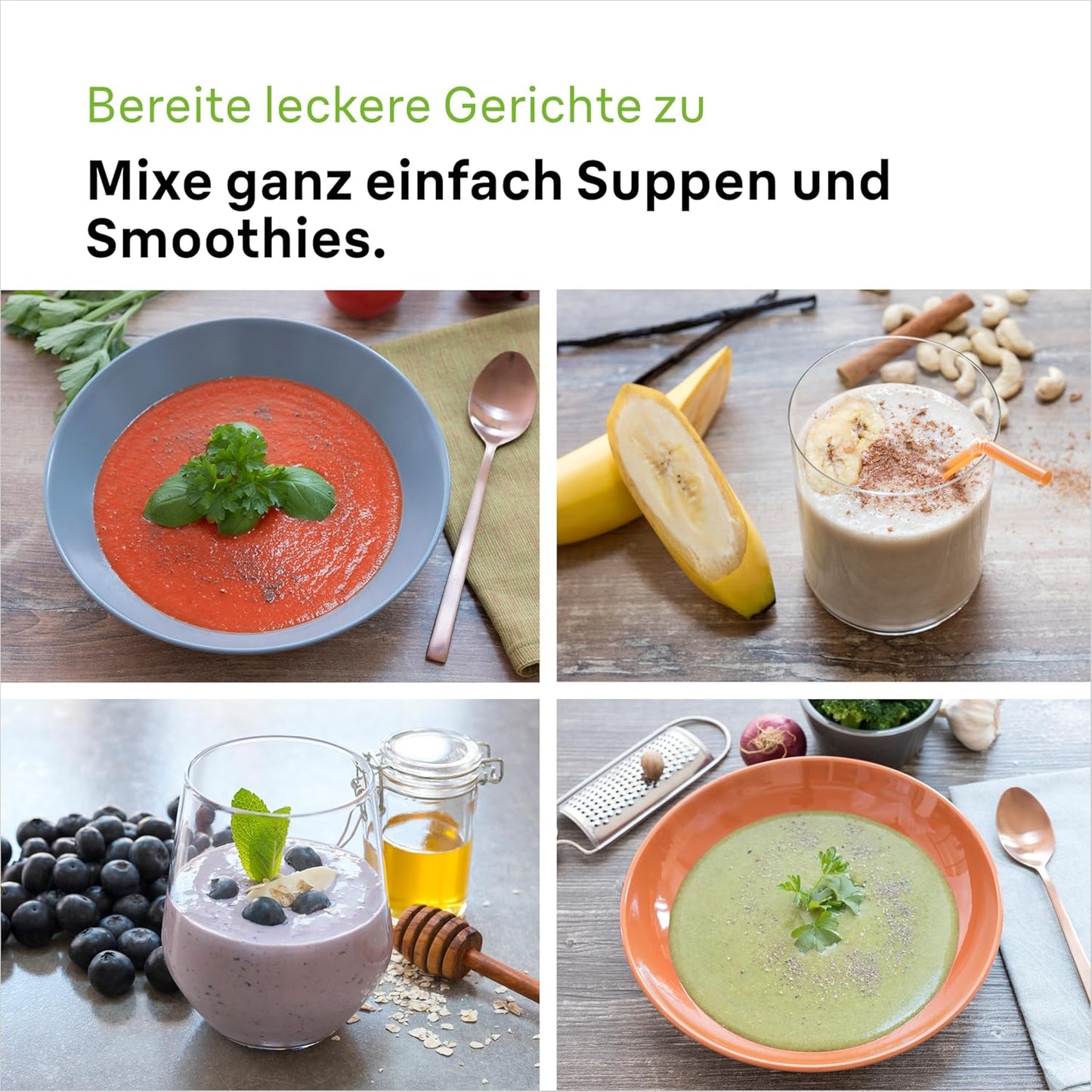 MultiQuick 5, Version 2024 - Stabmixer