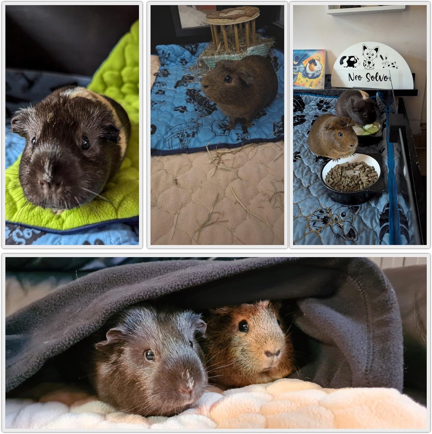 Käfigeinlage für Kaninchen & Meerschweinchen (120x60 cm), L 120 x B 60 x H 2 cm Pfirsich