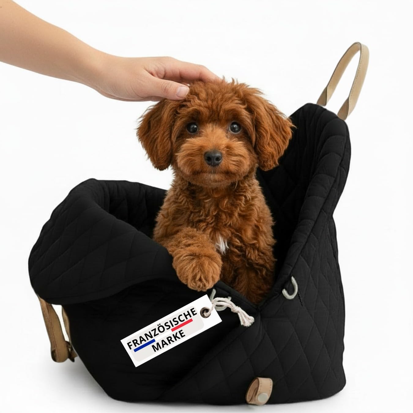 Hundetransporttasche fürs Auto mit Sicherheitsleine, Schwarz