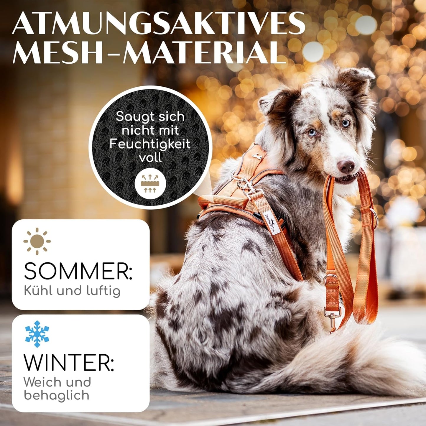 Hundegeschirr mit Polsterung, M Orange