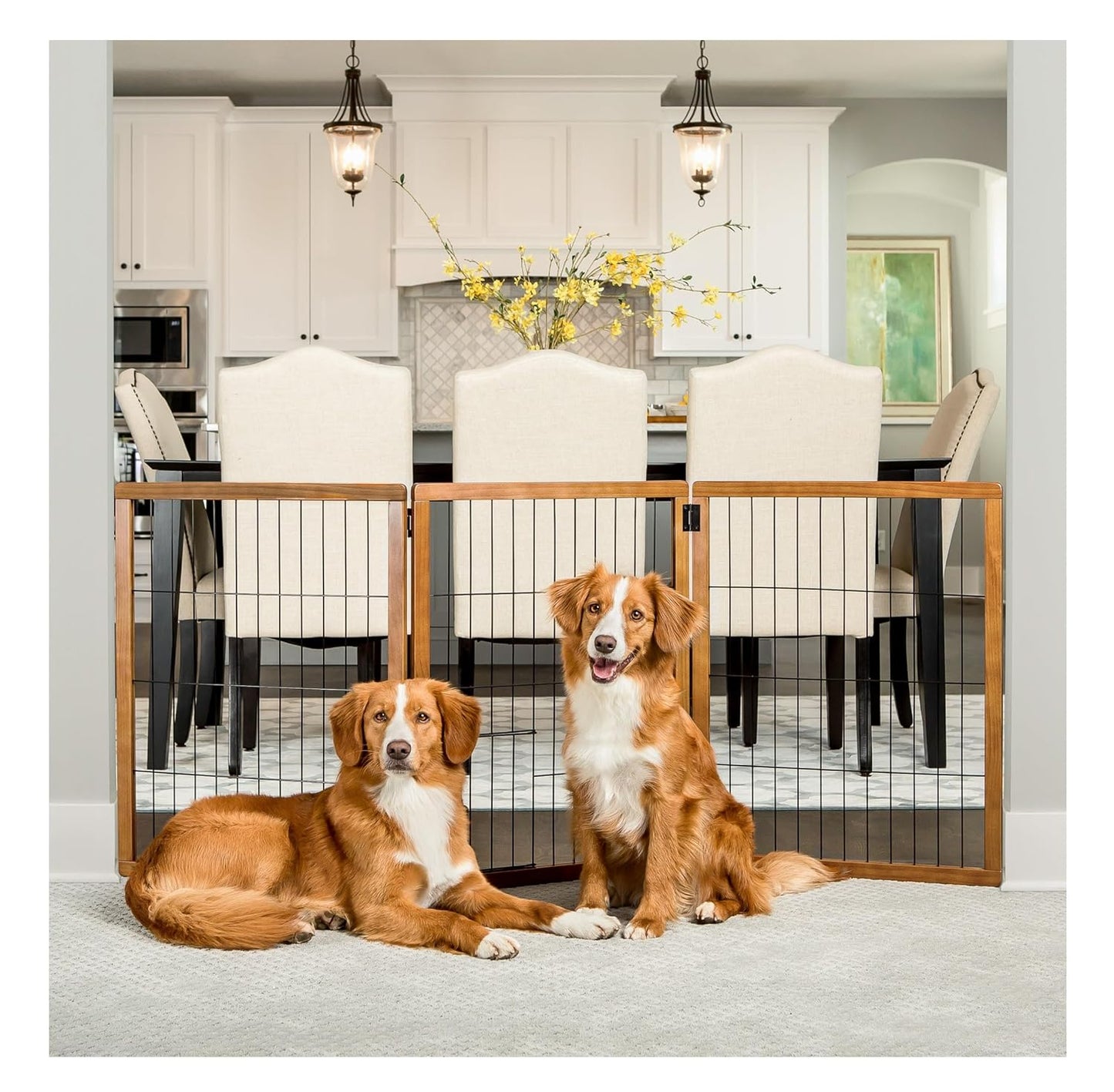 Freistehendes Haustiergitter mit kleiner Haustiertür, 22"-62"W x 28"H