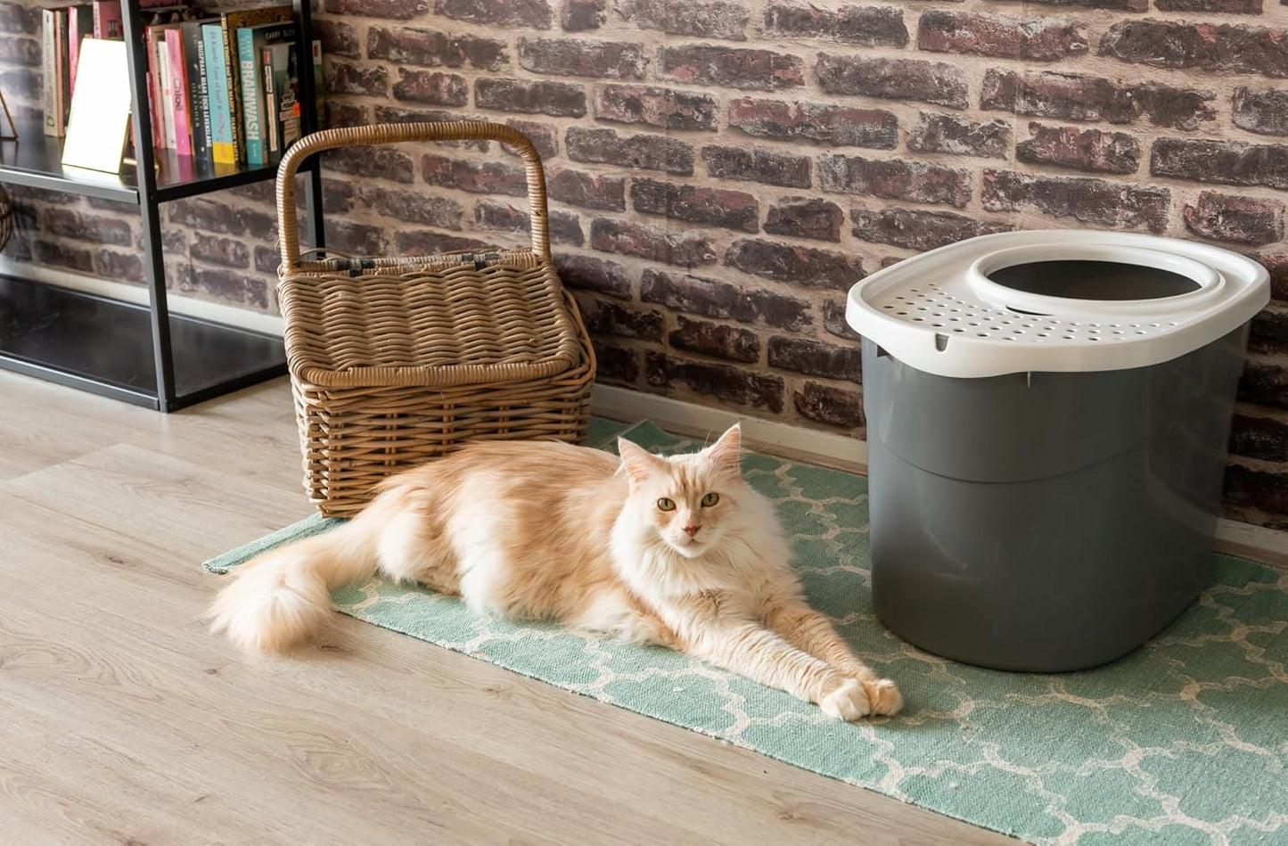 TECL-20 Katzentoilette geschlossen mit Schaufel, Grau Mittel