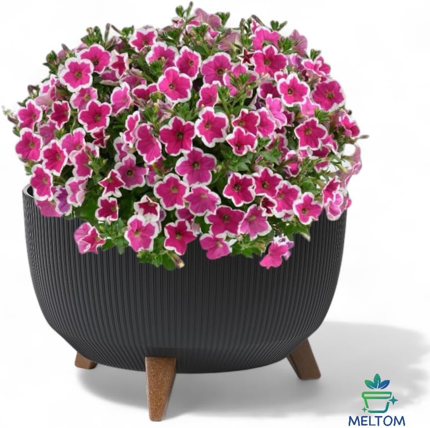 Blumentopfschale mit Füssen, Schwarz XL - 47 cm