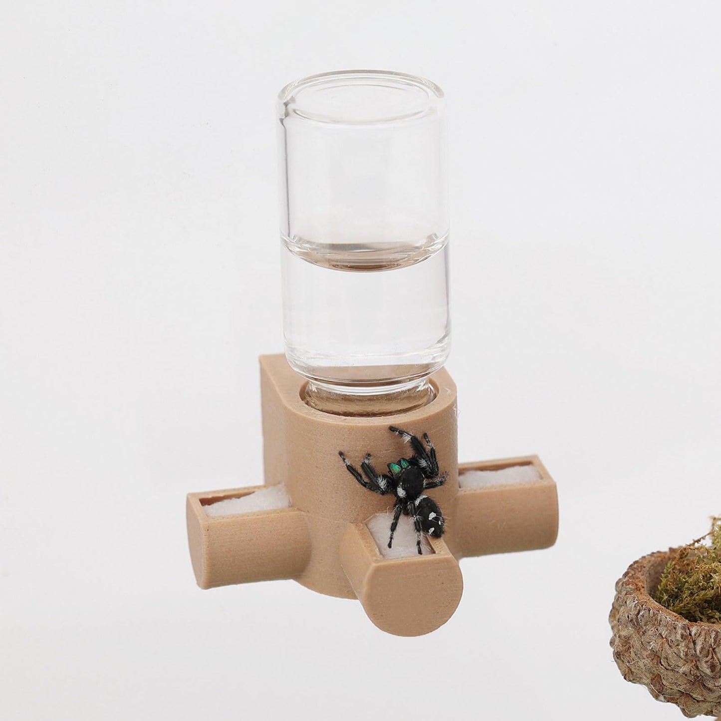 Springspinnen-Wasserspender magnetisch zum Aufhängen, holzfarben