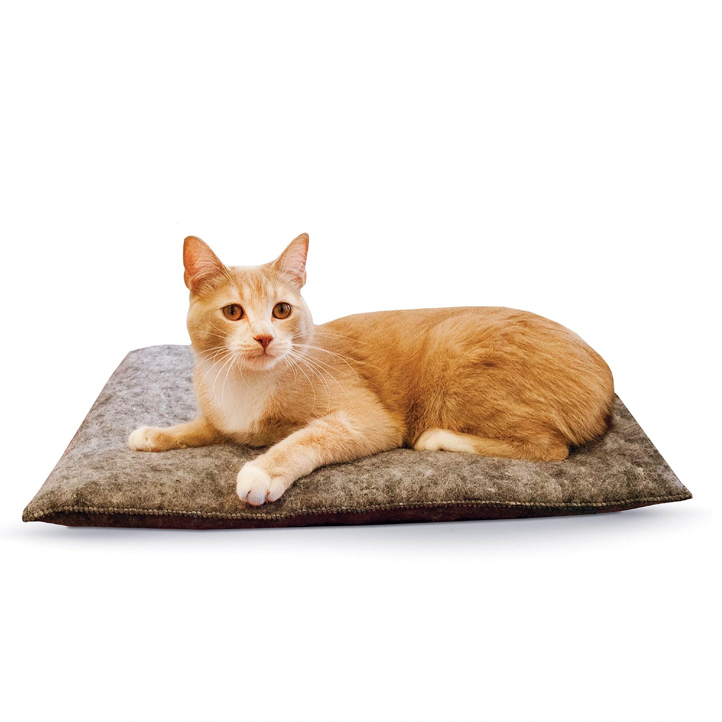 Amazin' Kitty Pad Katzenmatte, 2 Stück, L 51 x B 38 x H 3 cm 2 Stück