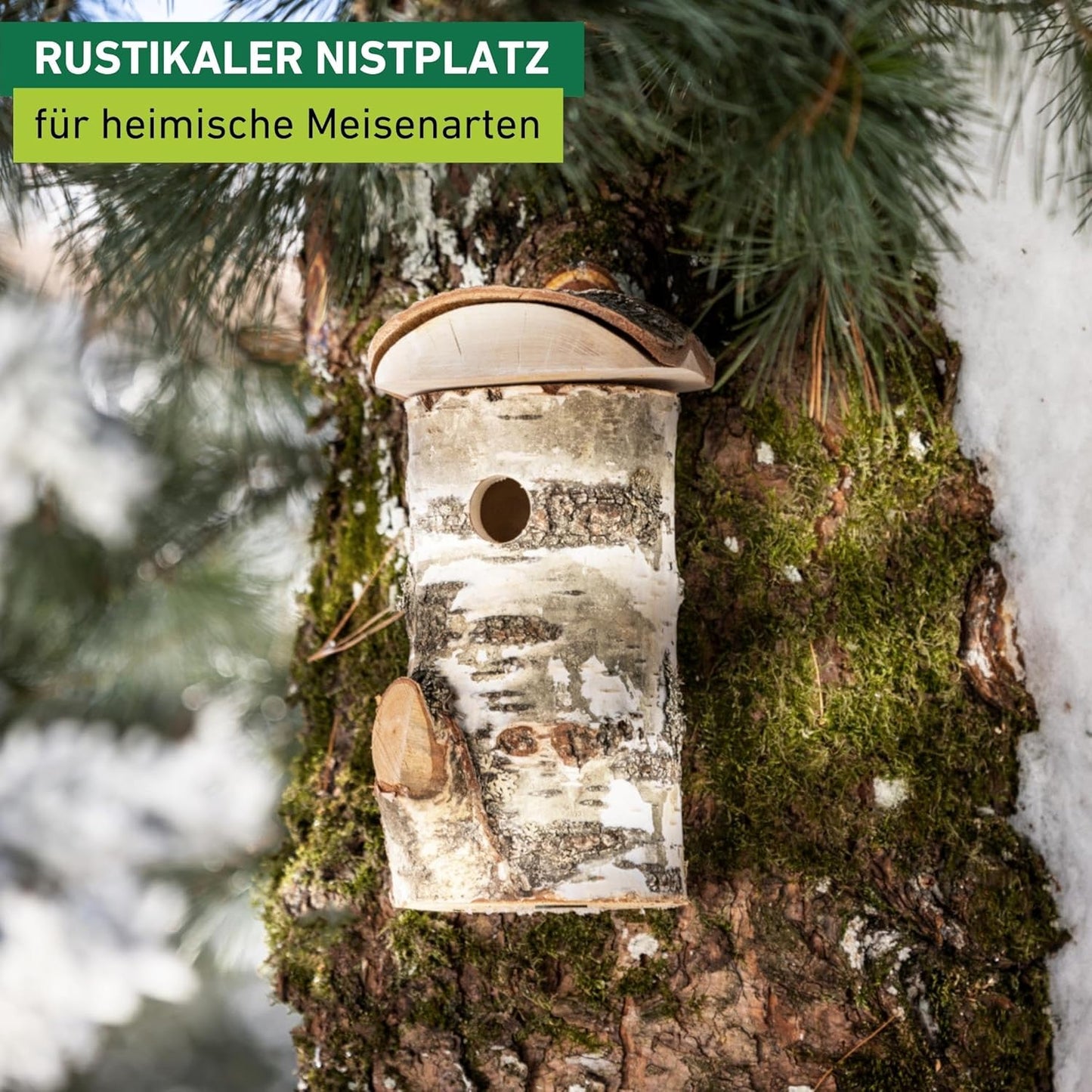 Vogelnistkasten Wildkogel