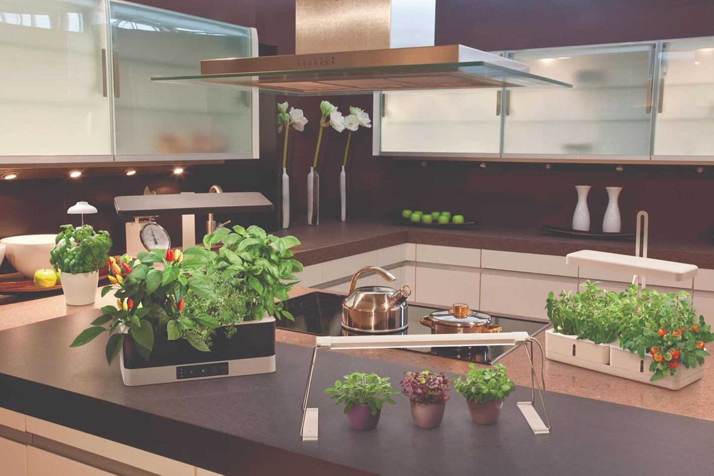 Indoor Garden Kit, Garden Kit