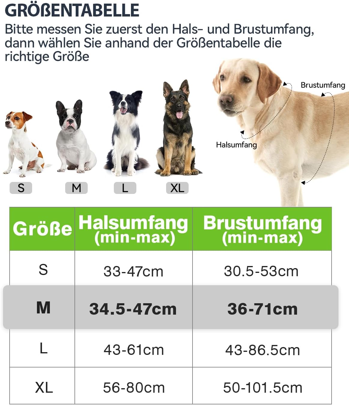 Anti-Zug Hundegeschirr mit 2 Anleinpunkten, M (1er Pack) Grün