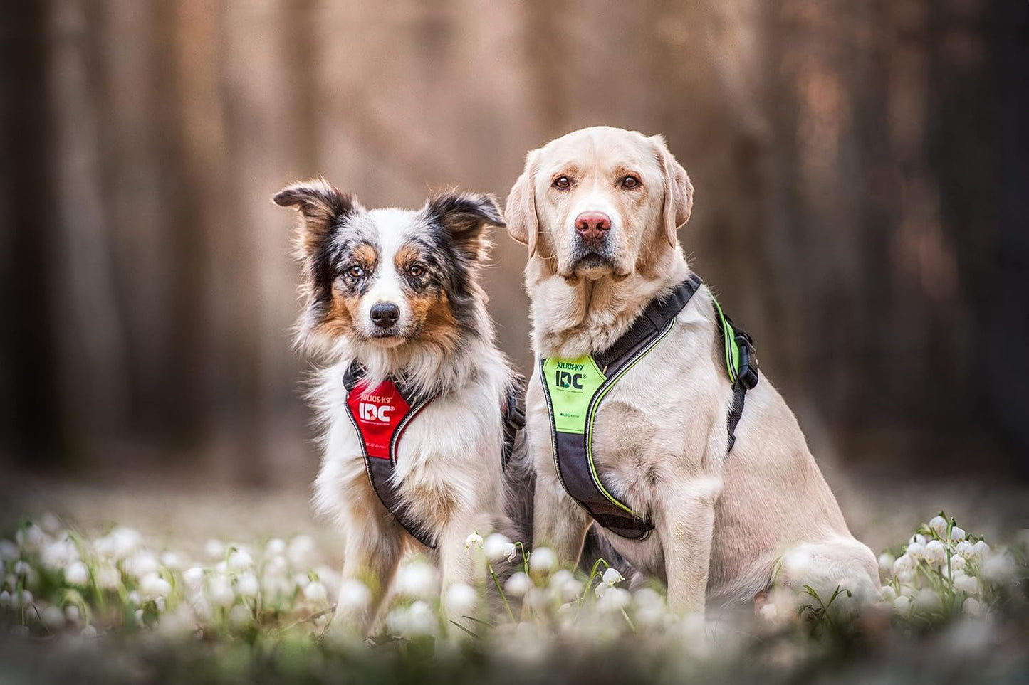 Longwalk Geschirr für Hunde, Neon-Grau XL