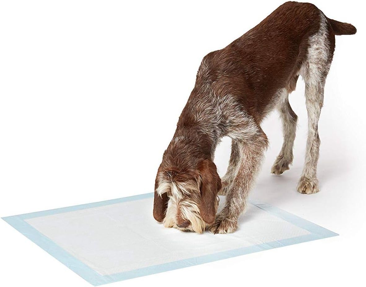 Puppy Training Pads, 90x60 cm 50