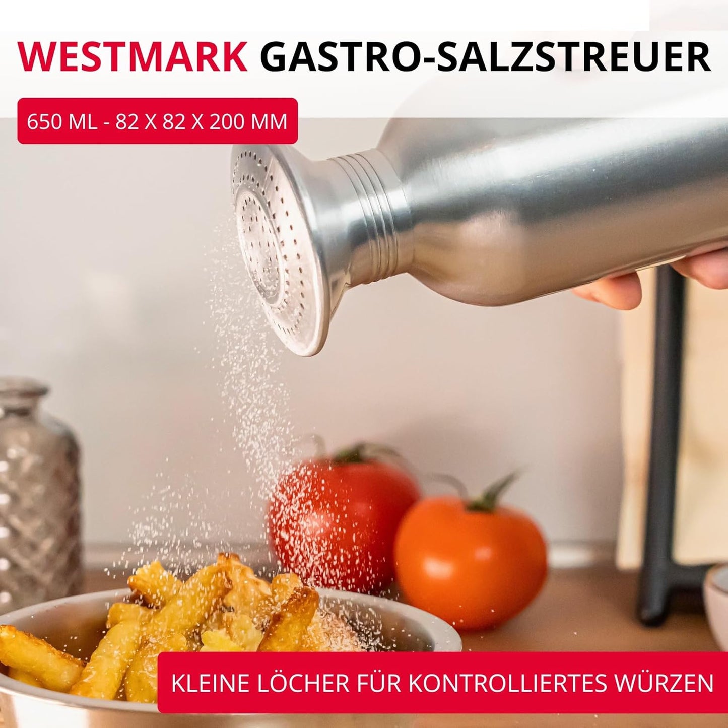 2-teiliges Gastro-Salzstreuer-Set Omega, Silber/Transp.-2-er Pack