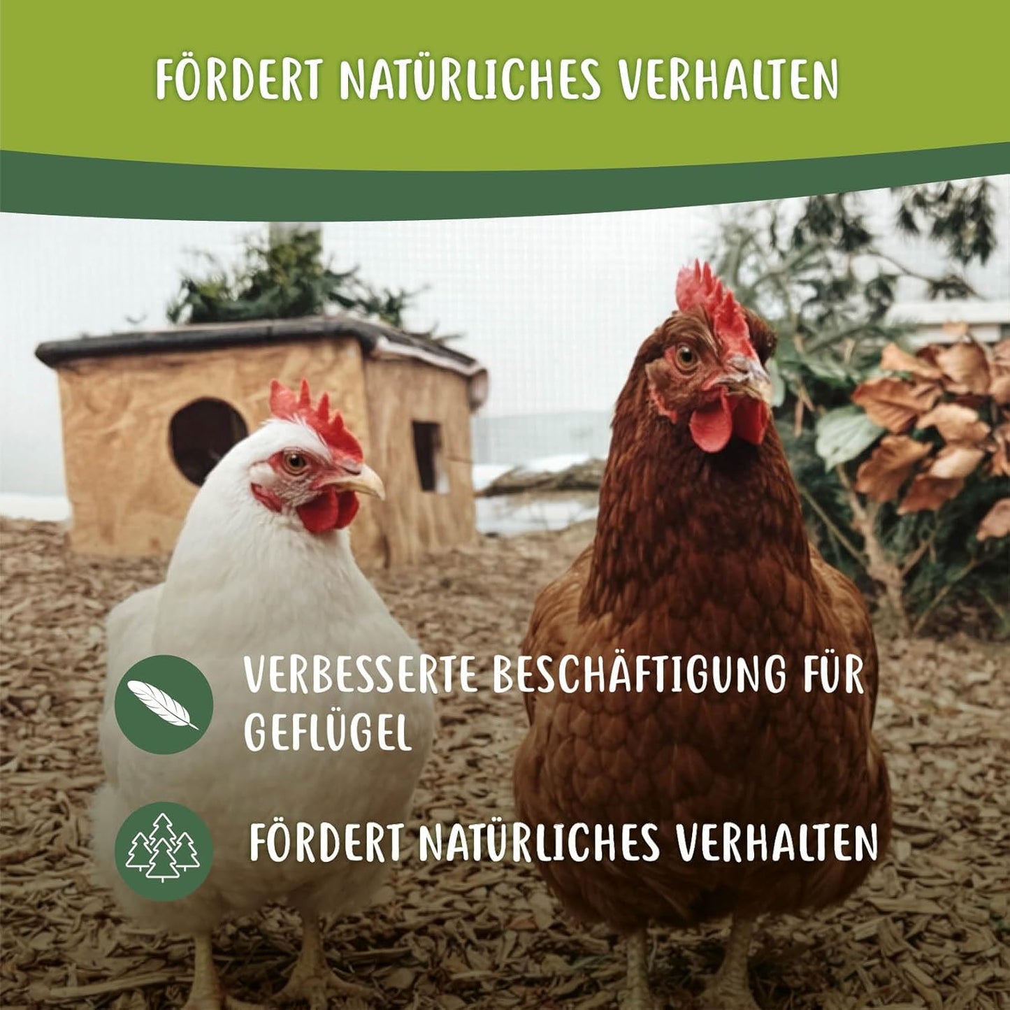 3er-Set Waldboden Einstreu für Hühner & Wachteln, mit Mais 40 Liter (3er Pack)