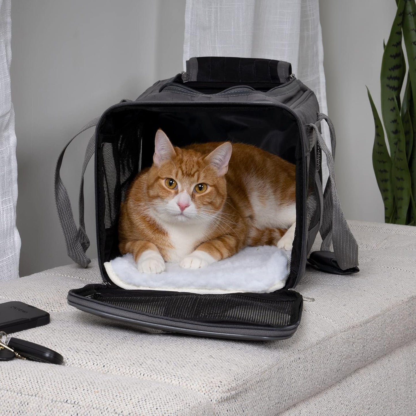 Deluxe Tier-Transportbox, L 43 x B 28 x H 27 cm anthrazit