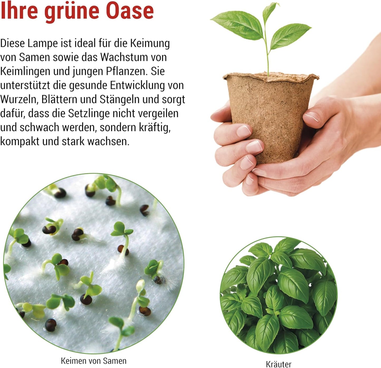 LED-Grow-Lampe mit Timer, Z7903