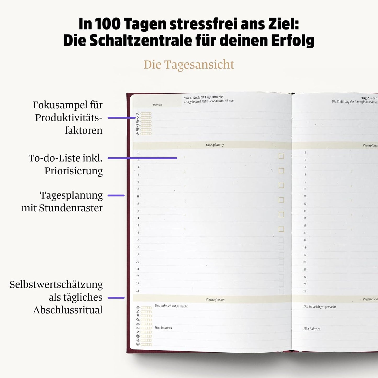 Ein gutes Projekt, Wald