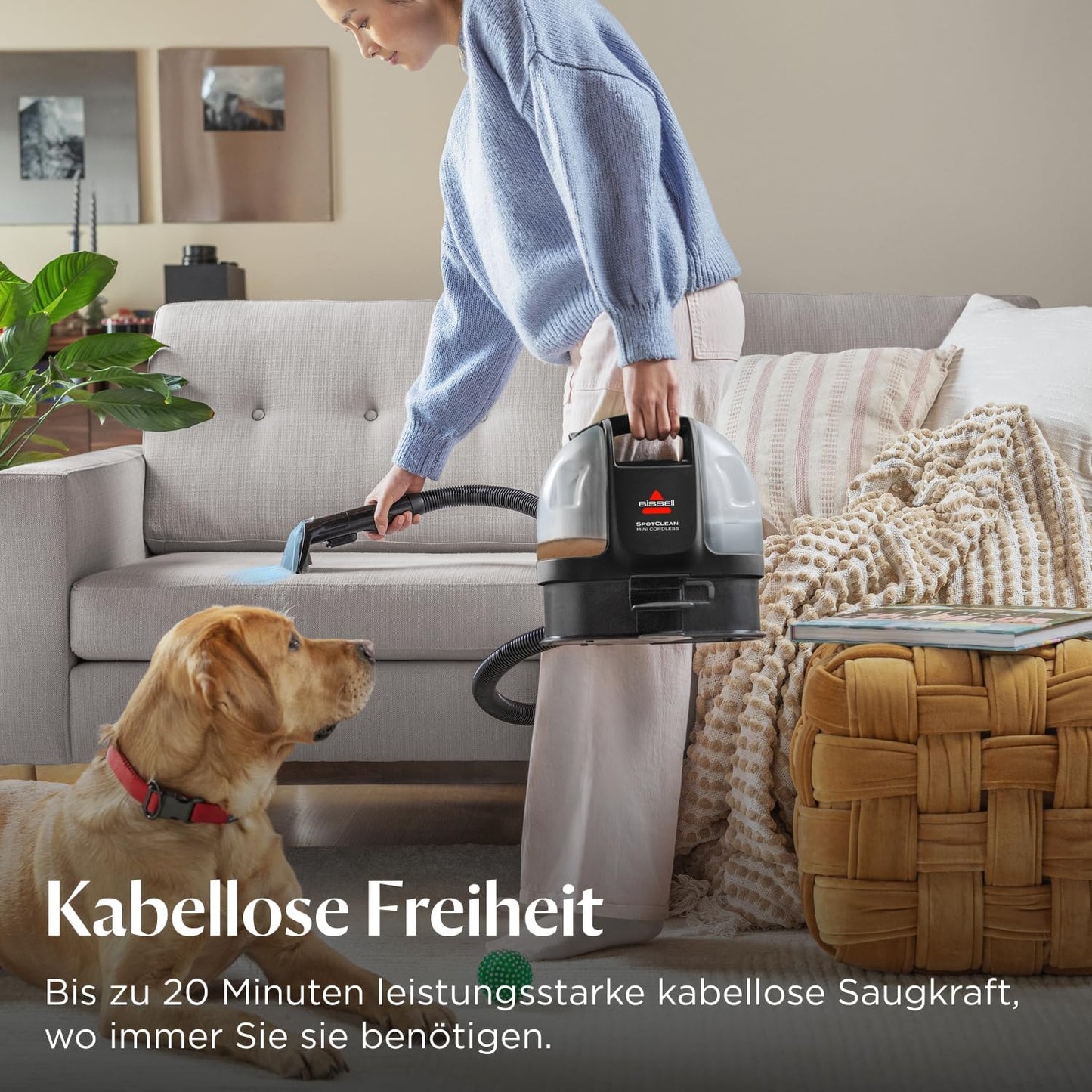 Akku Polster- & Teppichreiniger, Cordless (Compact)