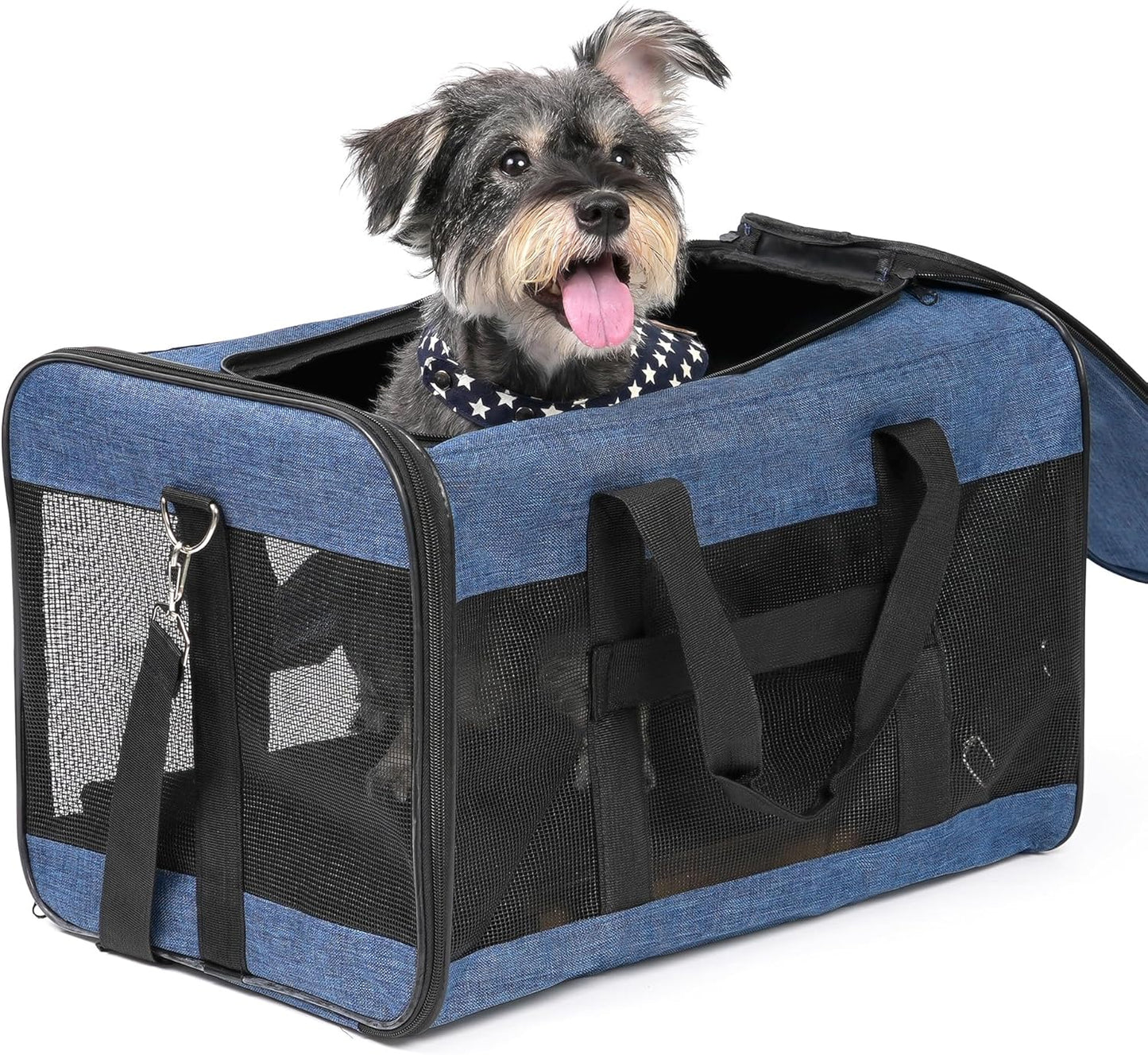 Faltbare Hundetransportbox, Gross Blau