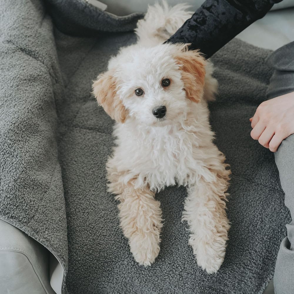 Faltbare Hunde-Reisedecke Seoul