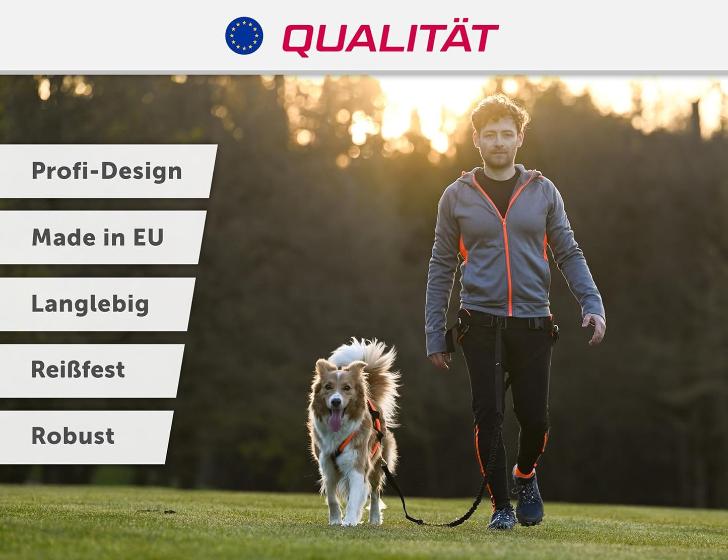 Hunde Zuggeschirr X Back für Hundesport, S