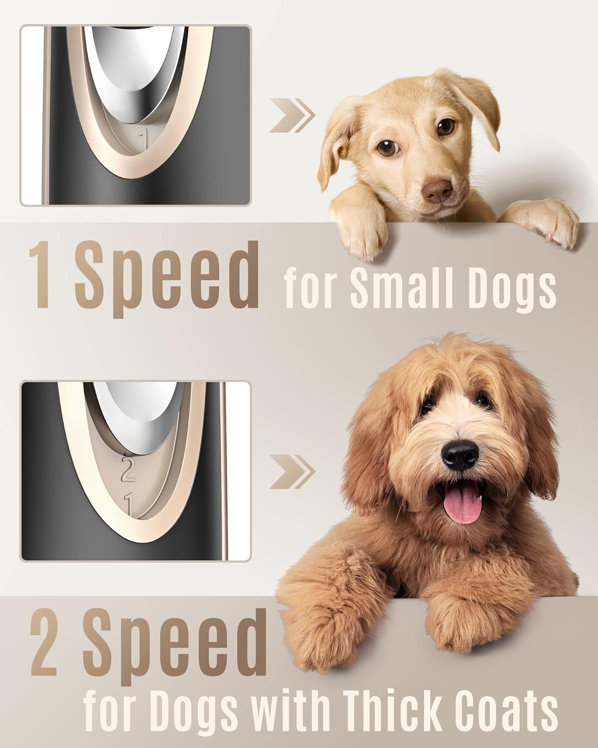 Leise Hundeschermaschine für dichtes Fell, Gold