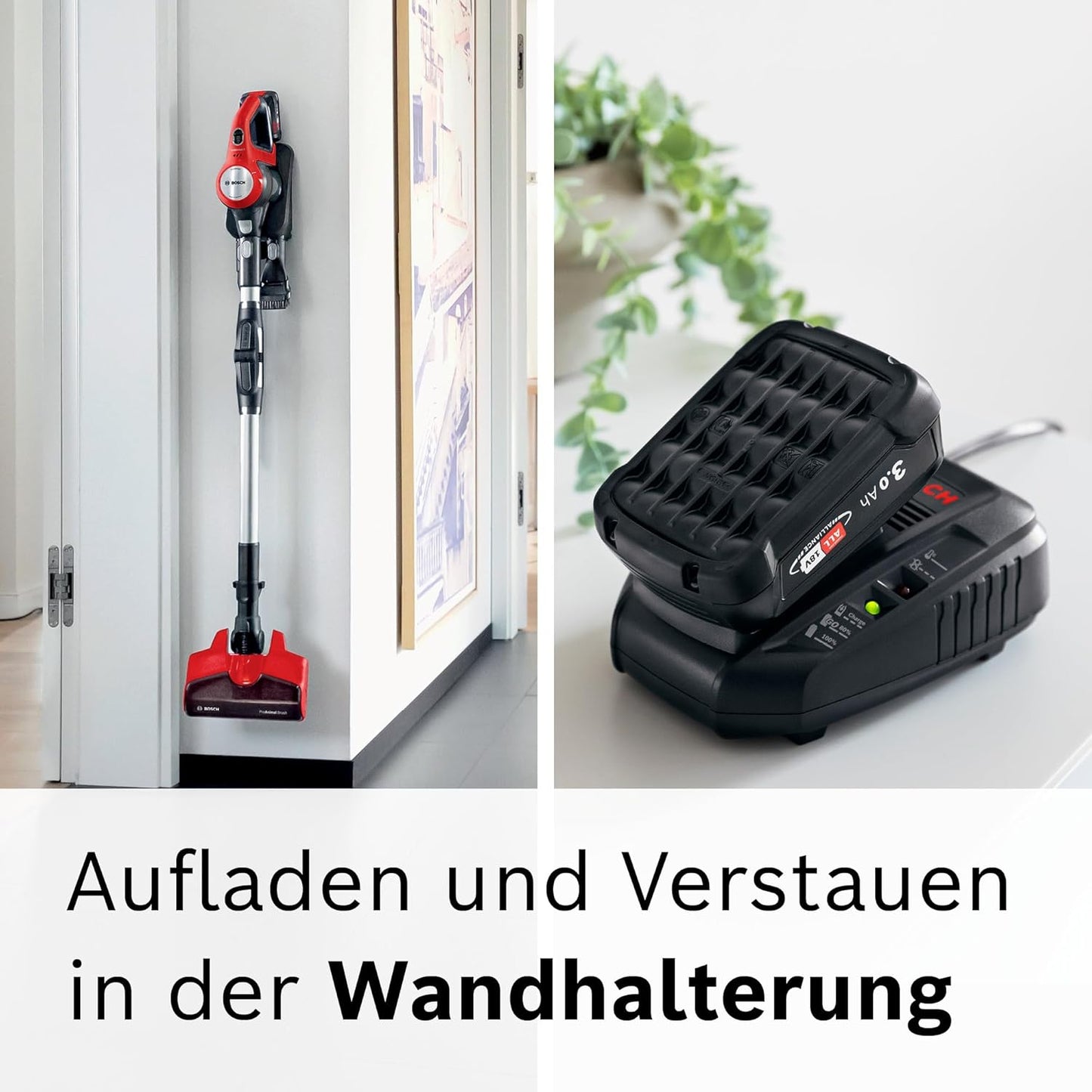 Akku-Staubsauger Unlimited 7 ProAnimal, für Tierbesitzer Tornadrot