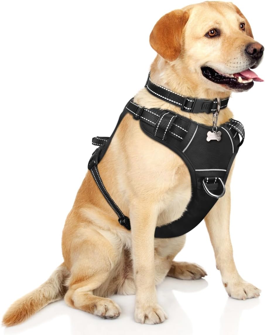 Hundegeschirr mit Halsband, Large Schwarz