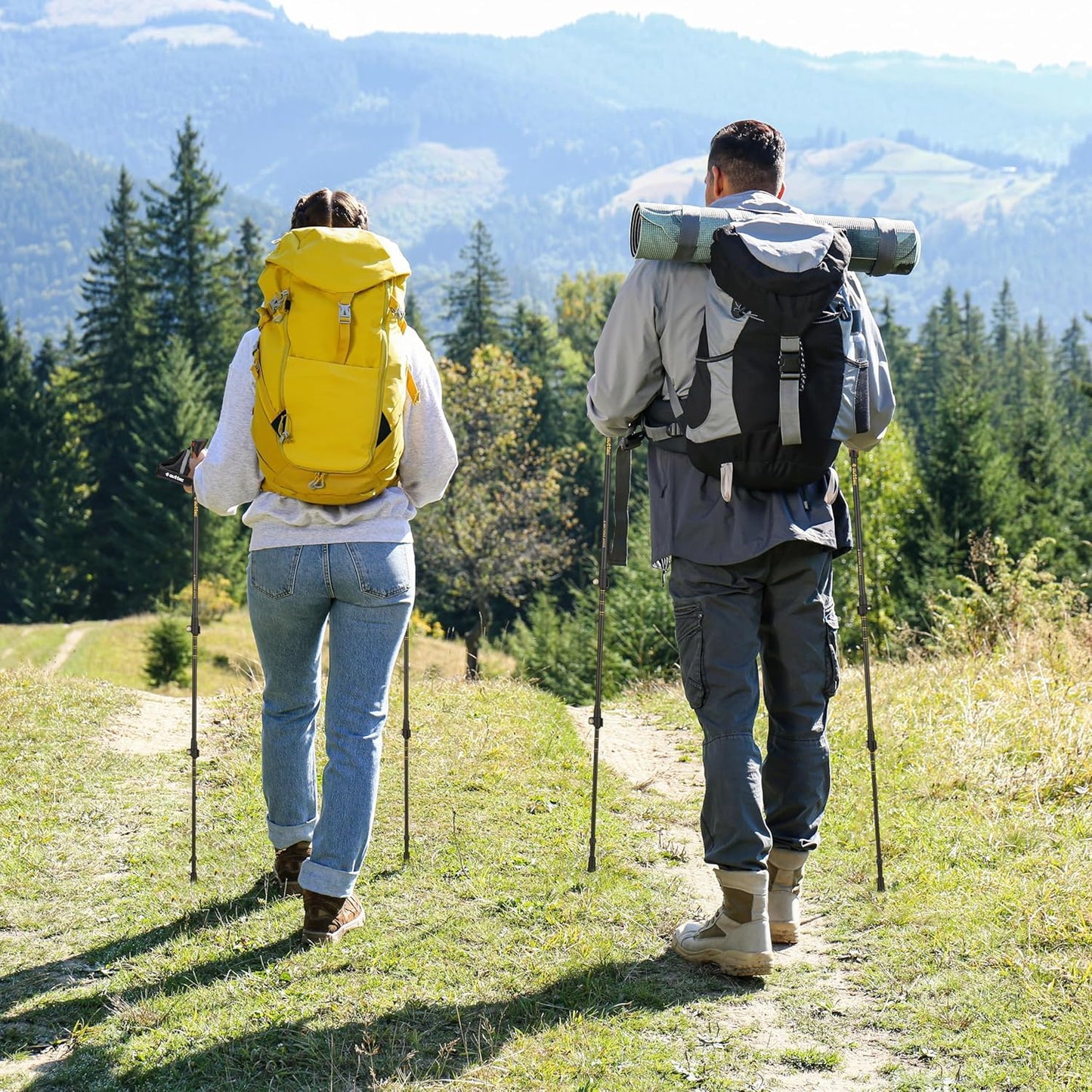 Trekkingstöcke, Schwarz