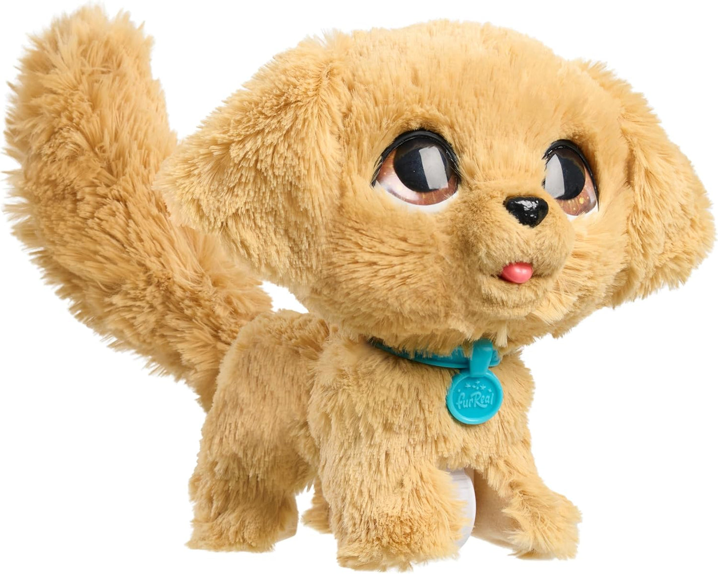Wag-A-Lots